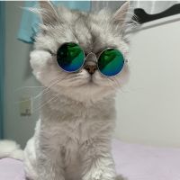 まきるな 会員画像