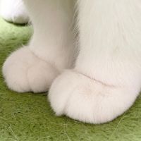 会員画像