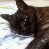 いるるん 会員画像