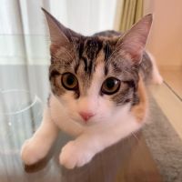 LUNA214 会員画像