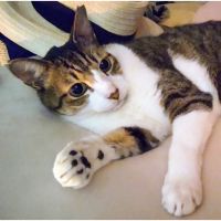 ノンノンスキーさん