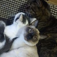 くりお。 会員画像