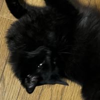 あわい 会員画像