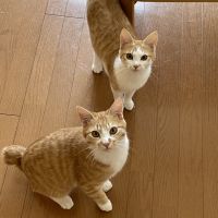 kanapoo 会員画像