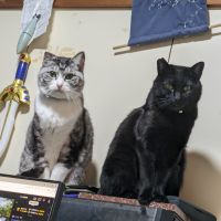 むんたす 会員画像