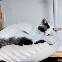 うめむー 会員画像