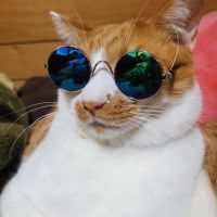 たくぽん0125さん