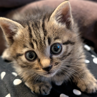 まもめ 会員画像