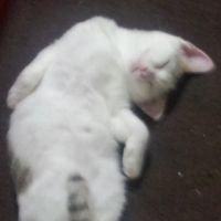 かめ屋 会員画像