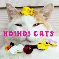 ドロシー 会員画像