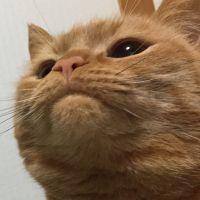 ゆーい 会員画像