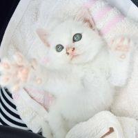 会員画像