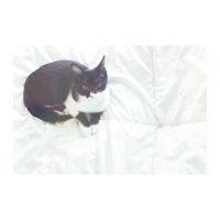モリシ 会員画像