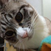 柚木さん