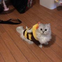 会員画像