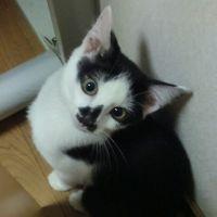 のらら 会員画像