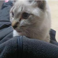 モーナット 会員画像