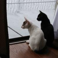 じゅあの 会員画像
