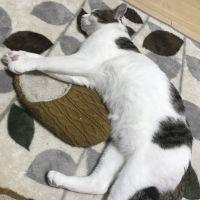 ユウナル 会員画像