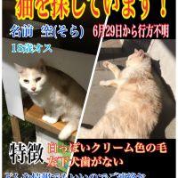 まえば 会員画像
