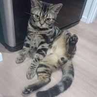 つくじろう 会員画像
