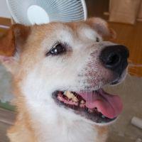 むむちん 会員画像