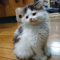 クライミー 会員画像