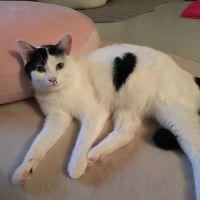 ゆんね 会員画像