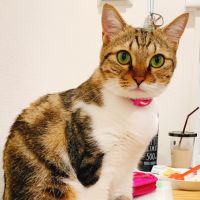 ウタマロさん