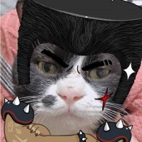 るにひ 会員画像