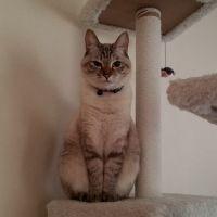 yonyonyonri 会員画像