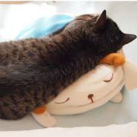 会員画像