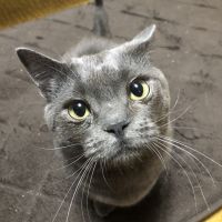 うしとかえる 会員画像