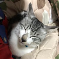 会員画像