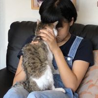 どんぐりこん 会員画像