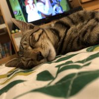 まーぶー 会員画像
