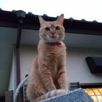 けんたろtkさん