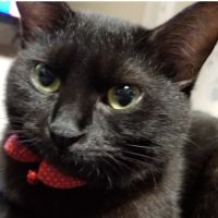 まか* 会員画像