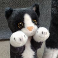 会員画像