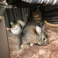 クララー 会員画像