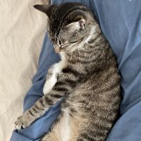 ぺけぺけ 会員画像