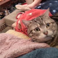 ミントワン 会員画像