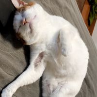 もいてぃー 会員画像