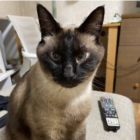 skyhigh 会員画像