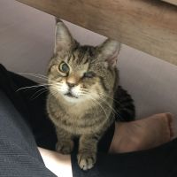 くるみちゃんママ 会員画像