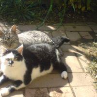 きょん28 会員画像