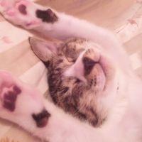 会員画像