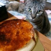 あるぱか 会員画像