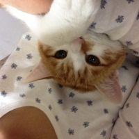 chippi(o^^o) 会員画像