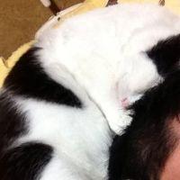 あほ 会員画像
